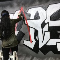 Junge Frau steht auf einer Leiter und sprayt an eine Wand