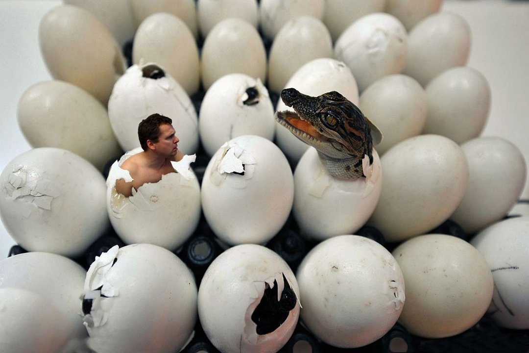 Fotomontage mit weißen Eiern, aus einem Ei schlüpft ein Mann, aus einem eine kleine Echse